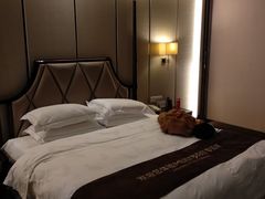 -碧桂园凤凰城酒店(南京店)