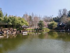-水绘园