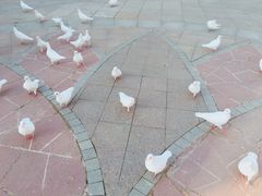 景点-西安世博园