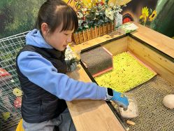 -神奇动物撸宠馆·羊驼·小浣熊·异宠(豫园店)