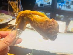 鸡翅饺子-TINY