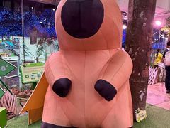 -正佳雨林生态植物园