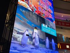 -成都浩海立方海洋公园