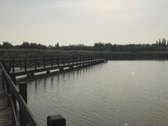 -西青郊野公园