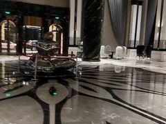 -上海闵行星河湾酒店