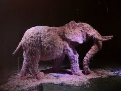 -成都许燎源现代设计艺术博物馆
