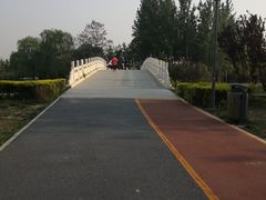 -大兴滨河森林公园