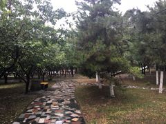 -唐城墙遗址公园