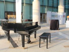 冬季花园拍卖会-上海浦东康桥绿地假日酒店