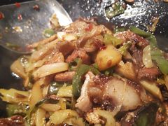 -聚鑫朋酸菜肥肠(文艺路口店)