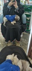 -MY WAY SALON