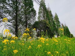-小鱼草莓采摘园农家乐·小鱼餐厅
