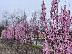 -柳鹭田园区