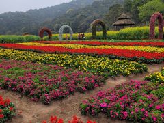 -广州市石门国家森林公园