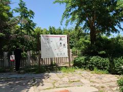 -北京鹫峰国家森林公园