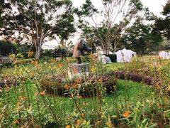 -香港赛马会双鱼河会所