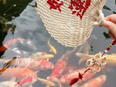 -凌舍好烧鹅(中山路店)