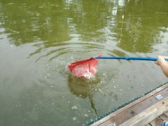 -酷鱼垂钓CLUB(朝阳区博大路店 )