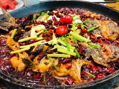 -老板恋上鱼(恒隆广场店)