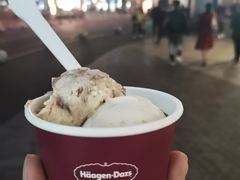 -哈根达斯(龙湖时代天街店)