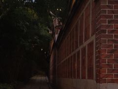 -晋江五店市传统文化旅游区