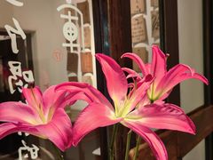 -瓦库茶馆17号(海汇港店)