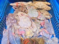 -三个渔夫·蒸汽海鲜(小白楼店)
