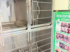 -悦宠凯宝动物医院·牙科·皮肤科(朝阳北路店)