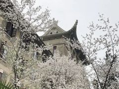 -武汉大学-樱园