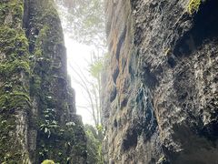 -山王坪喀斯特国家生态公园