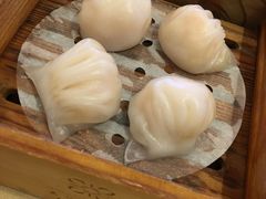 -东莞美怡登酒店(常平南站店)