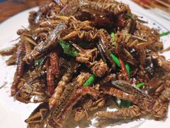 -酒座音乐主题串吧(滑翔西社区店)