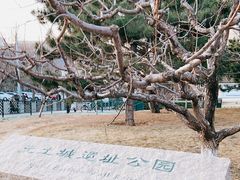 -元大都城垣遗址公园