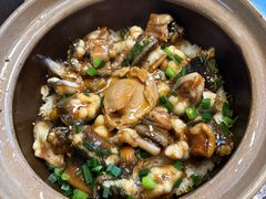 -红星光发煲仔饭(文海店)