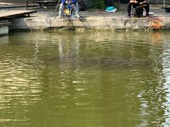 -酷鱼垂钓CLUB(朝阳区博大路店 )