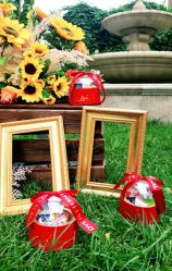 -卡卡喜糖伴手礼·商务礼宝宝礼·婚礼用品