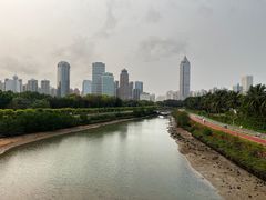 -万绿园