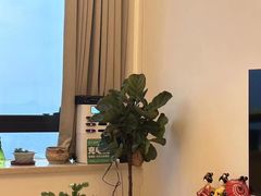 -八号公馆·老上海SPA(深圳北站店)