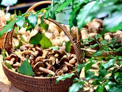 -黔蘑菇四季餐厅(观山湖店)