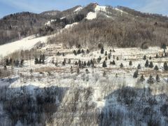 -长白山万达国际滑雪场