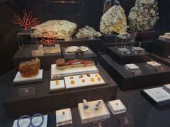 -烟台自然博物馆
