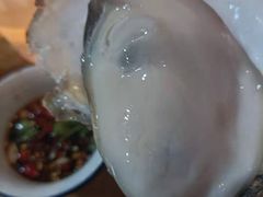 -土蚝·高压锅生蚝(百姓美食街店)
