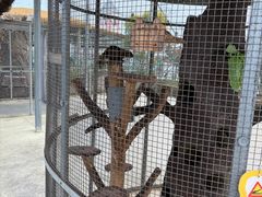 -芜湖新华联大白鲸海洋公园
