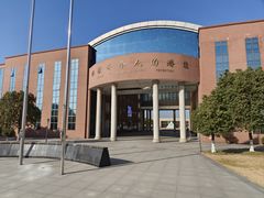 -中加枫华国际学校