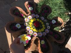 -四季酒店下午茶