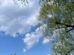 -长春市南湖公园