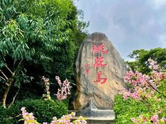 -桃花岛风景旅游区