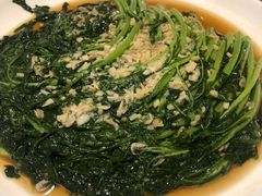 生煎茼蒿-禾珍珠家常小馆(河南博物院店)