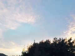 -盐洲岛