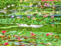 -国家植物园南园